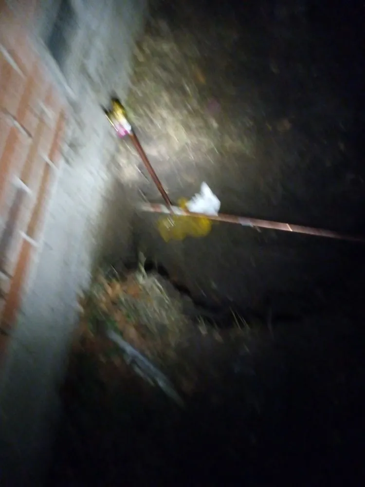 Slide of Pancho Plumber