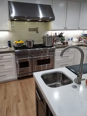 Panther Plumbing Logo