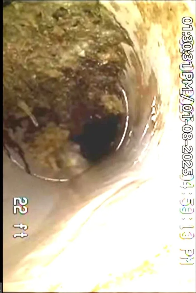 Slide of Panther Plumbing