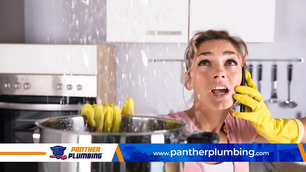 Slide of Panther Plumbing