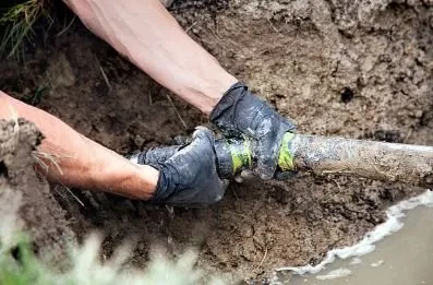 Slide of Panther Septic