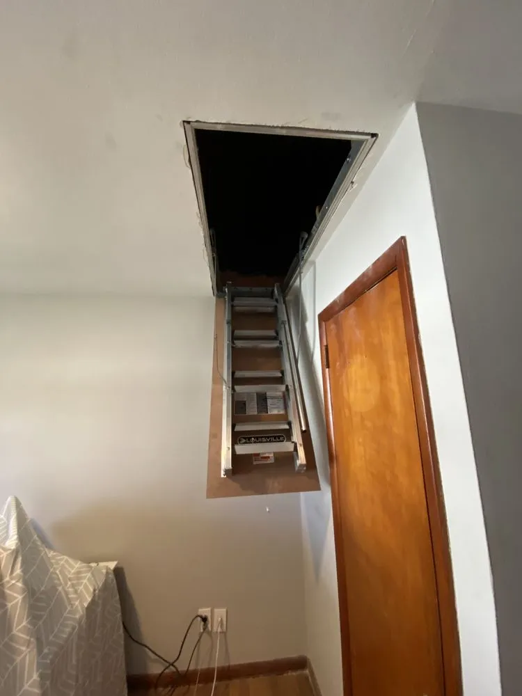 Slide of Papa's home