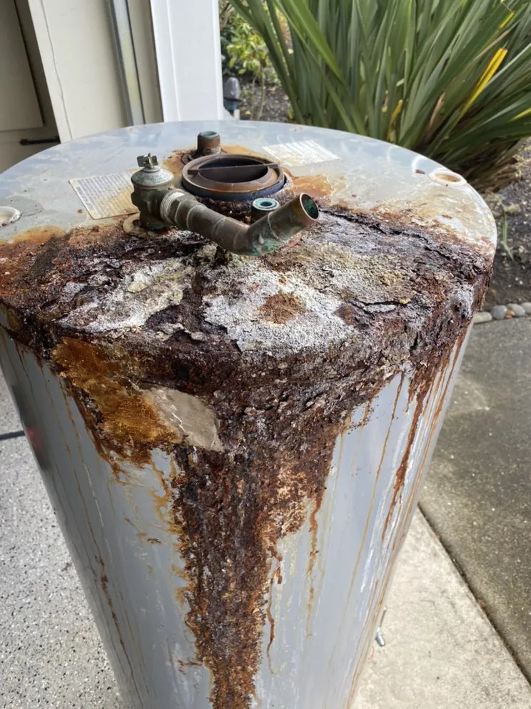 Slide of Papa's Plumbing