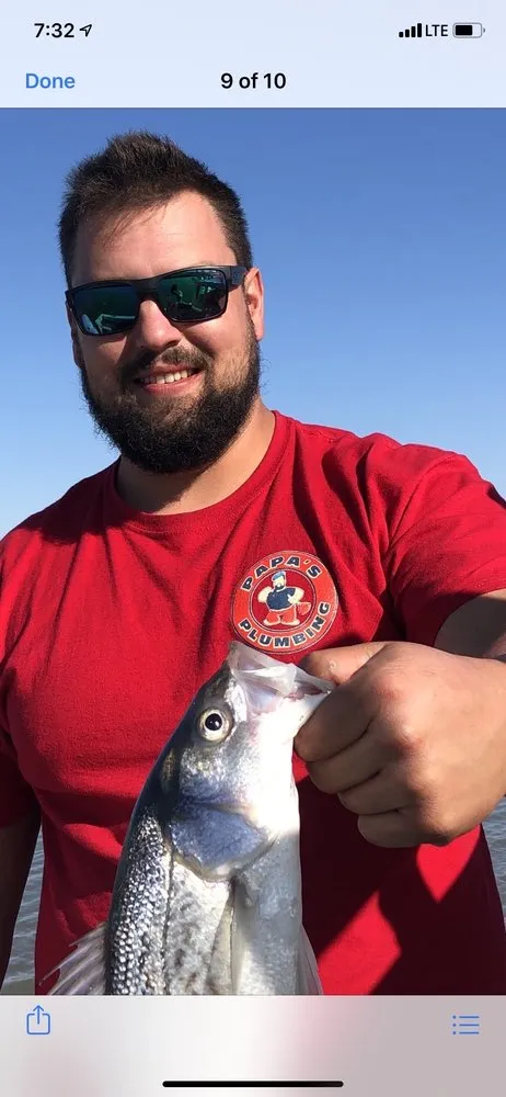 Slide of Papa's Plumbing