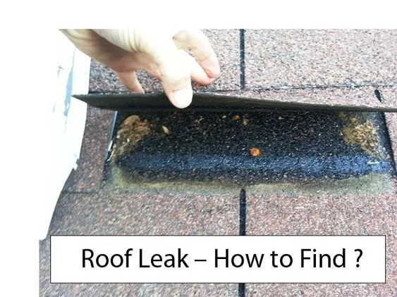 Slide of Paps Constructation Services