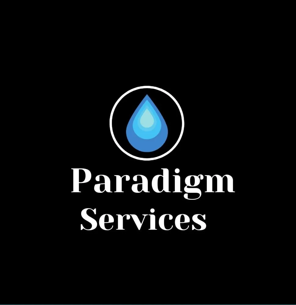 Slide of Paradigm Services