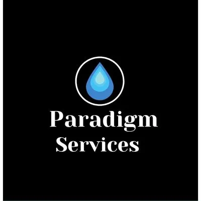 Paradigm Services Logo