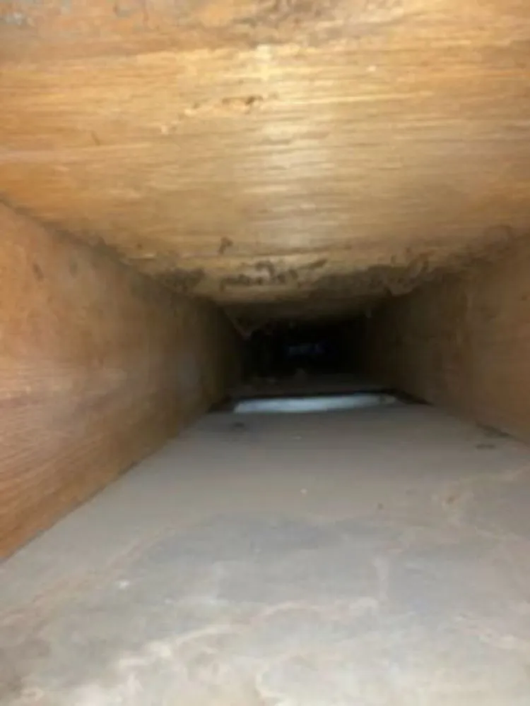 Slide of Paradise Home Services