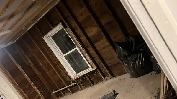 Paredes Mobile Services Logo