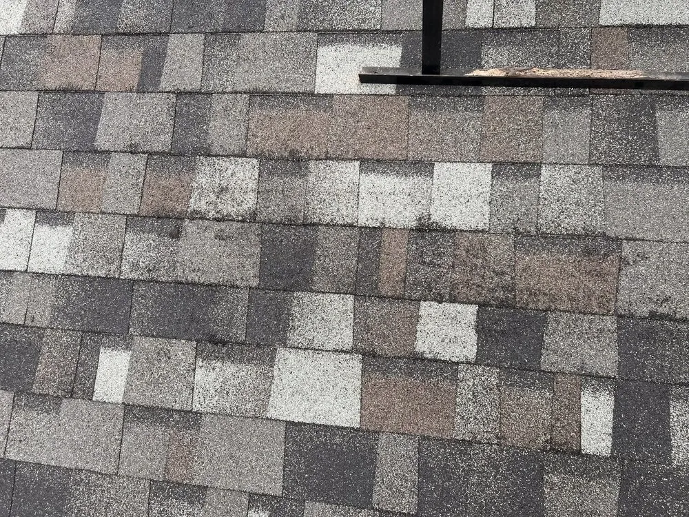 Slide of Parker & Sons