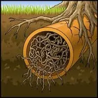 Slide of Parker Brothers Plumbing