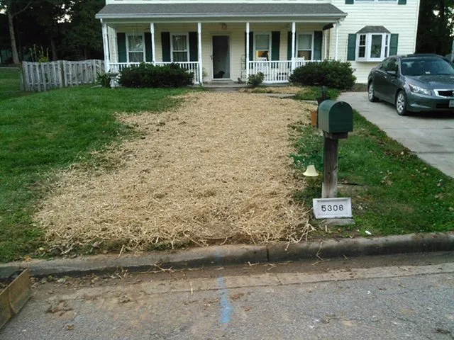 Slide of parkway plumbing