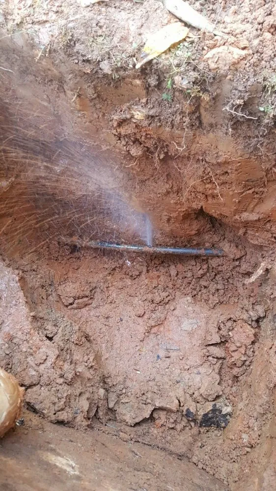 Slide of parkway plumbing