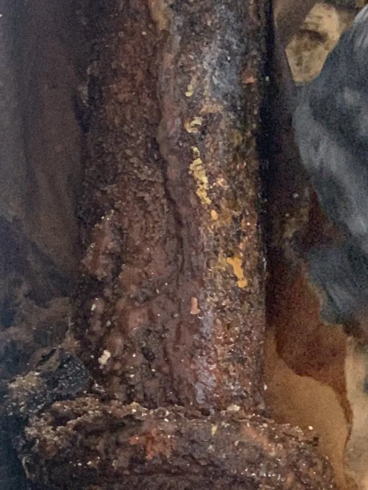 Slide of Parzival Plumbing