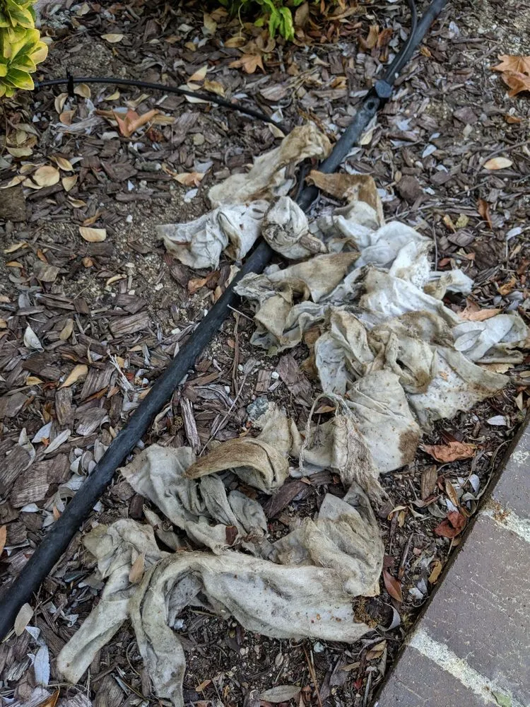 Slide of Pasadena Plumbing