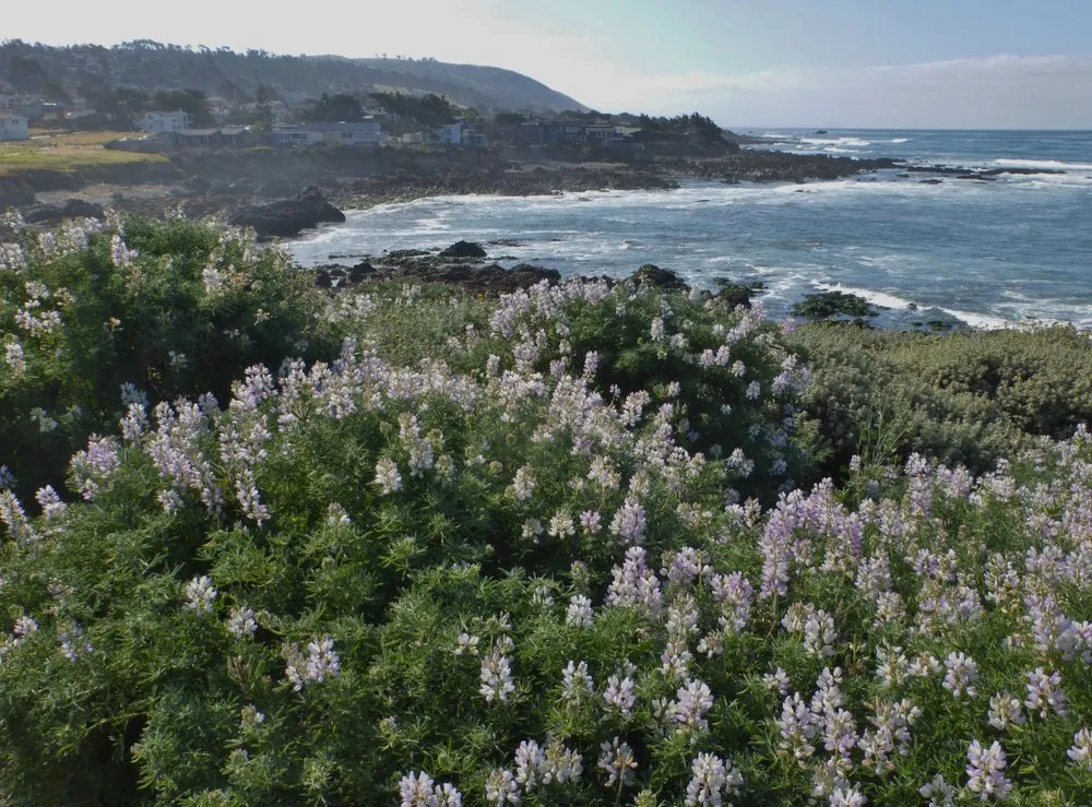 Expert drain cleaning for homes in Paso Robles, CA by Paso Robles Heating and Air