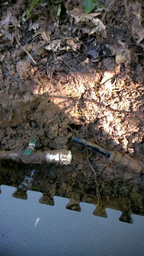 Slide of Patches Services