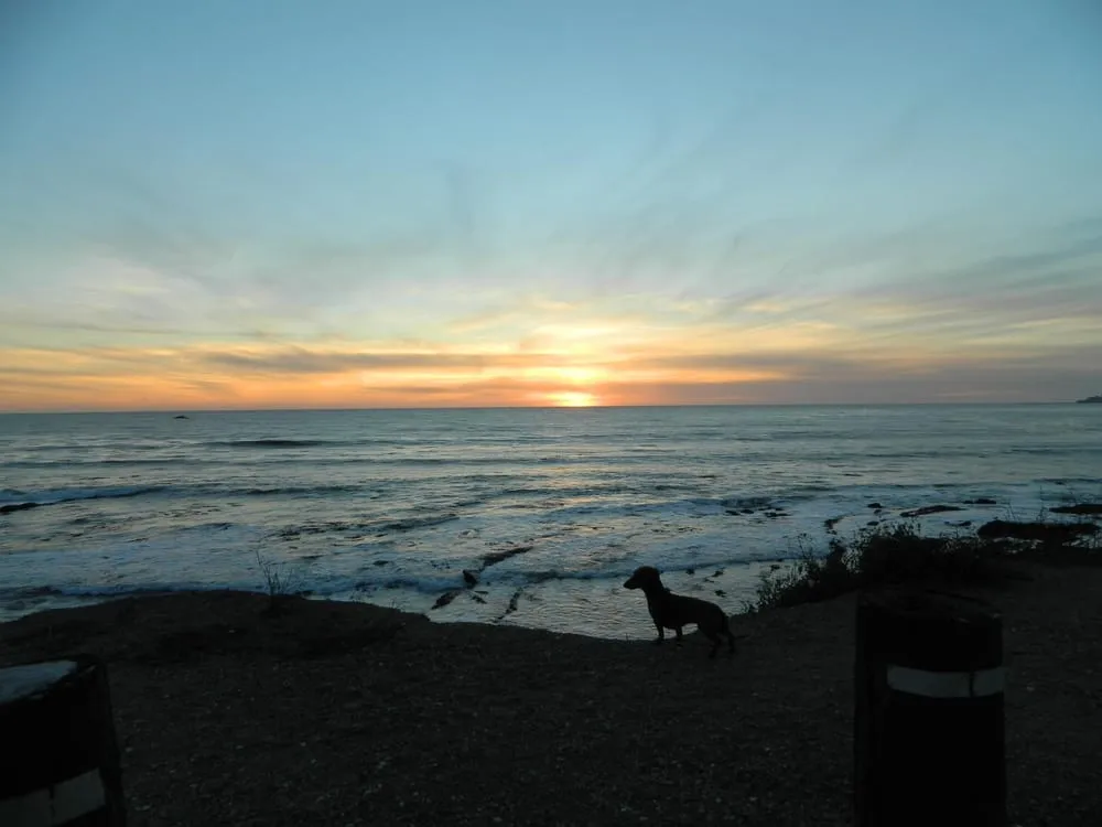 Expert emergency plumbing experts serving Oceano, CA - Patrick And Carrie's Appliance Repair