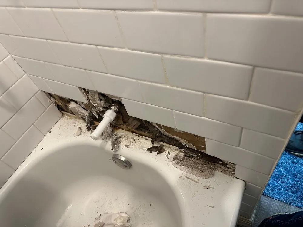 Slide of Patrick Handyman