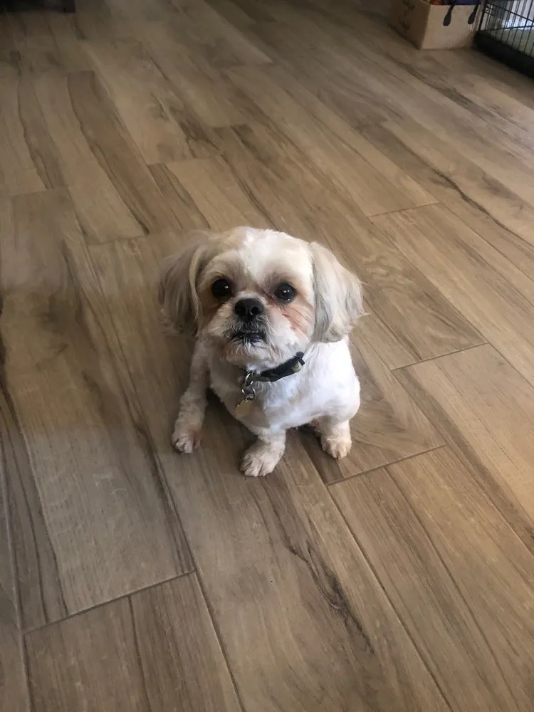 Emergency plumbing repair service in Phoenix, AZ - Patrick Riley | Isley's Cooling, Heating, Plumbing, & Electrical