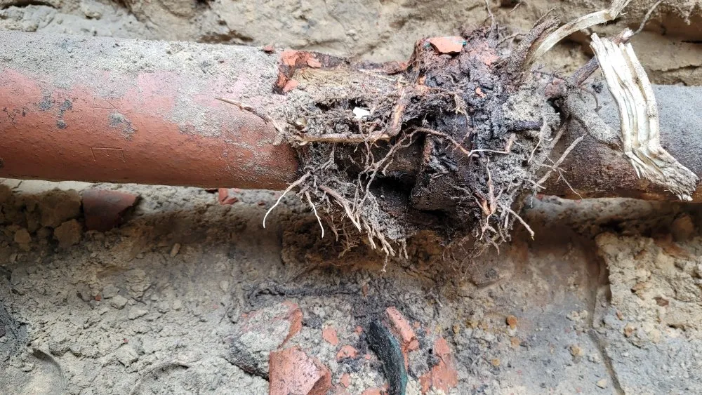 Slide of Patricks Services