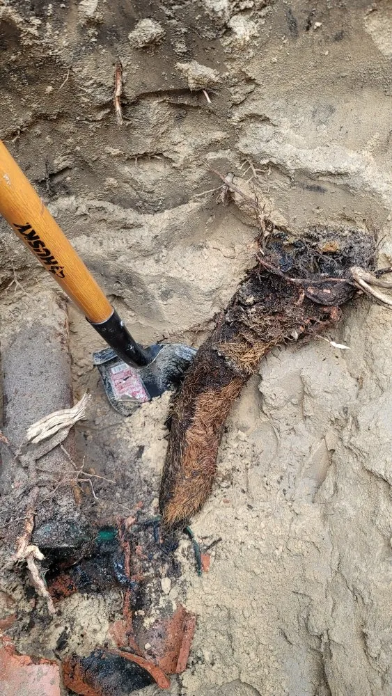 Slide of Patricks Services