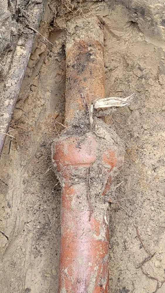 Slide of Patricks Services