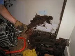 Slide of Patriot Piping