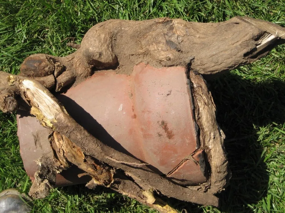 Slide of Patriot Plumbing & Restoration