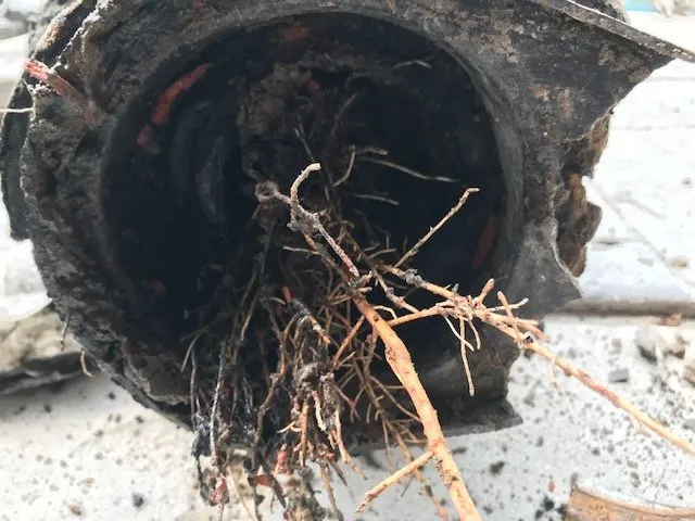 Slide of Patriot Plumbing & Restoration