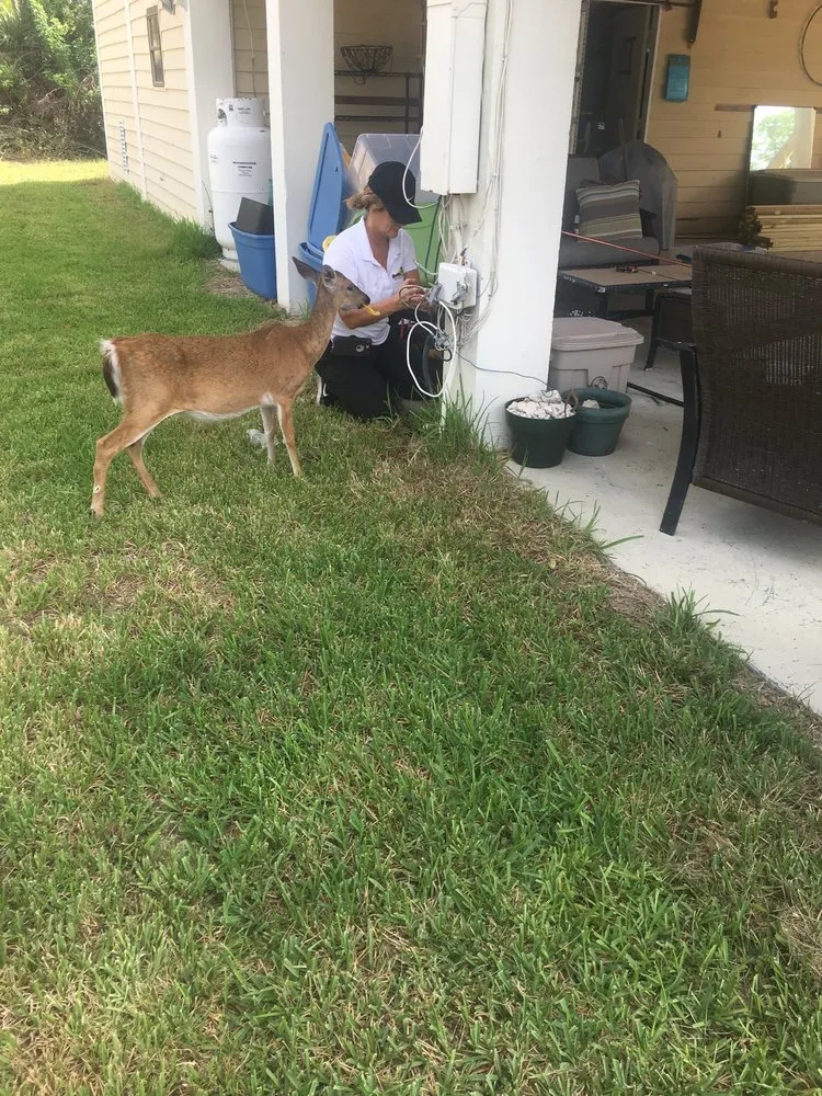 Slide of Patti The Plumber