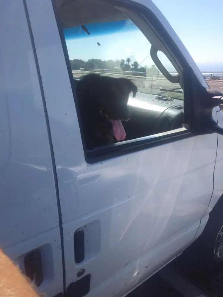 Slide of Paul Birely Plumbing