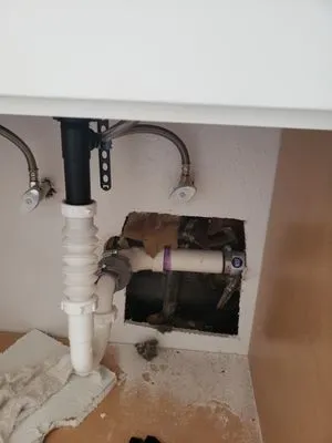 Paul Plumbing Services Logo