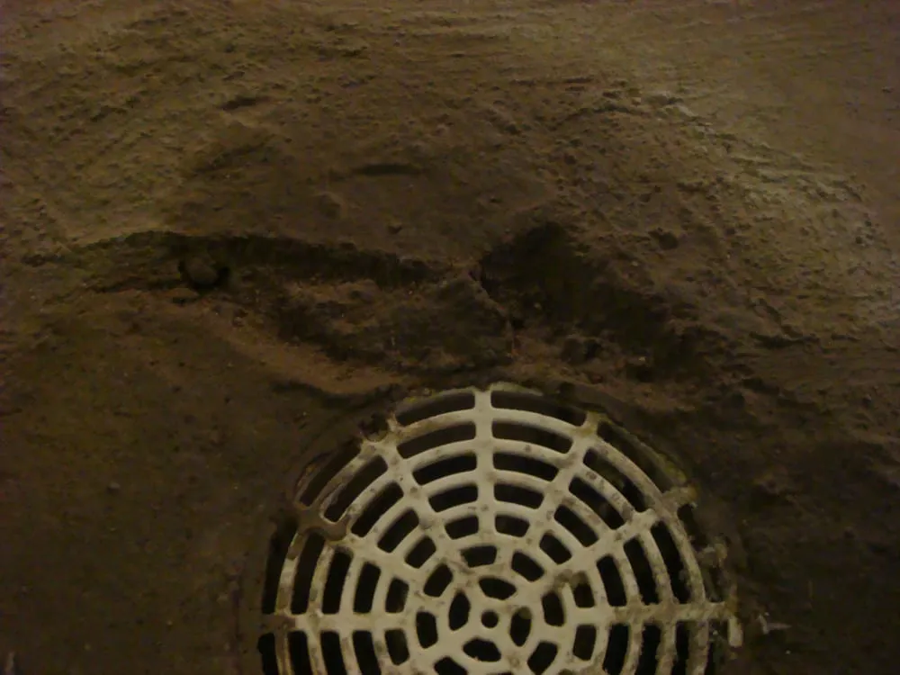 Slide of Pauley's Sewer & Drain
