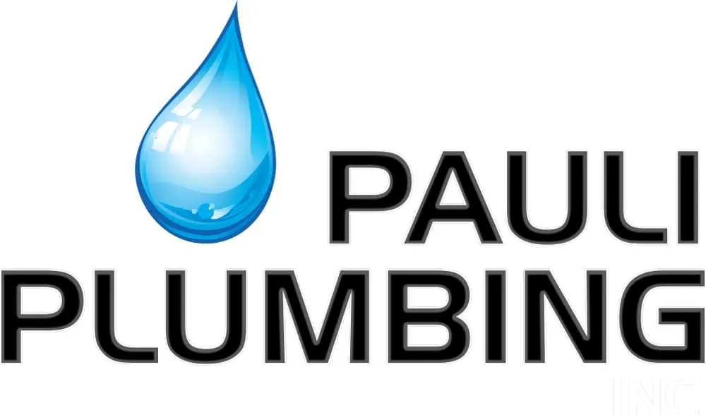 Slide of Pauli Plumbing