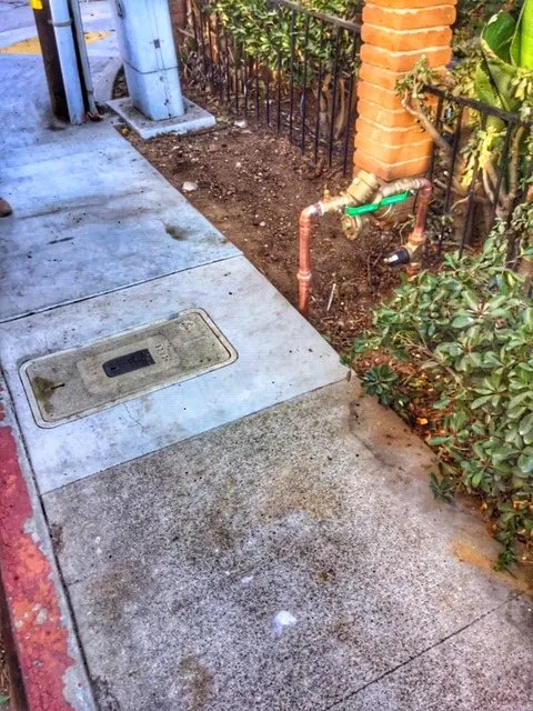 Slide of Paws Plumbing