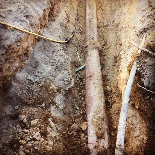 Slide of Paws Plumbing