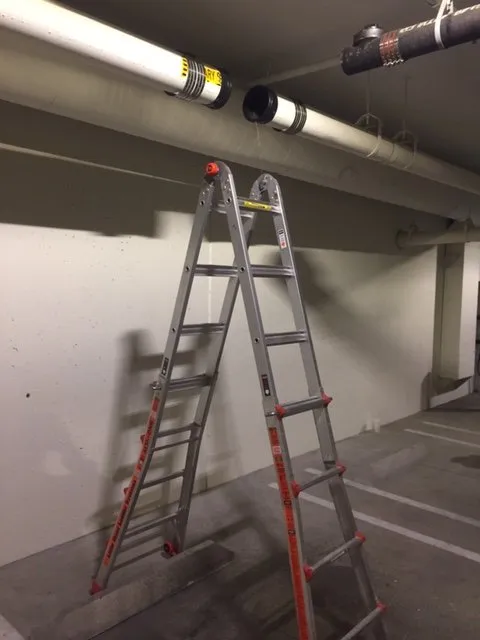 Slide of Paws Plumbing