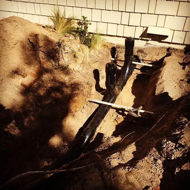 Slide of Paws Plumbing