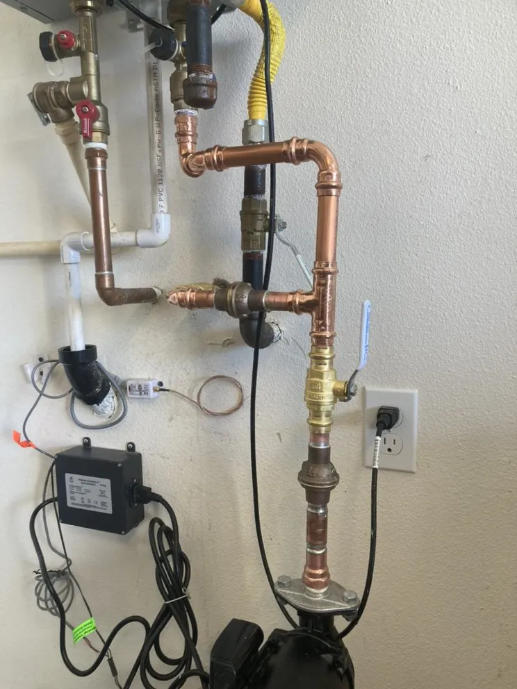 Slide of Paws Plumbing