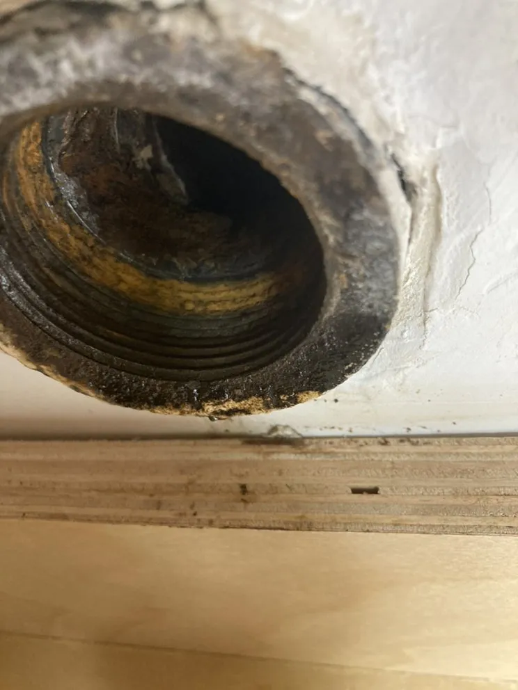 Slide of Paws Plumbing