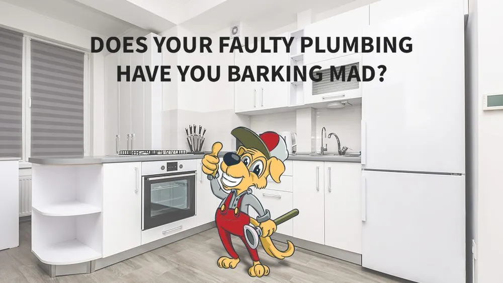 Slide of Paws Plumbing