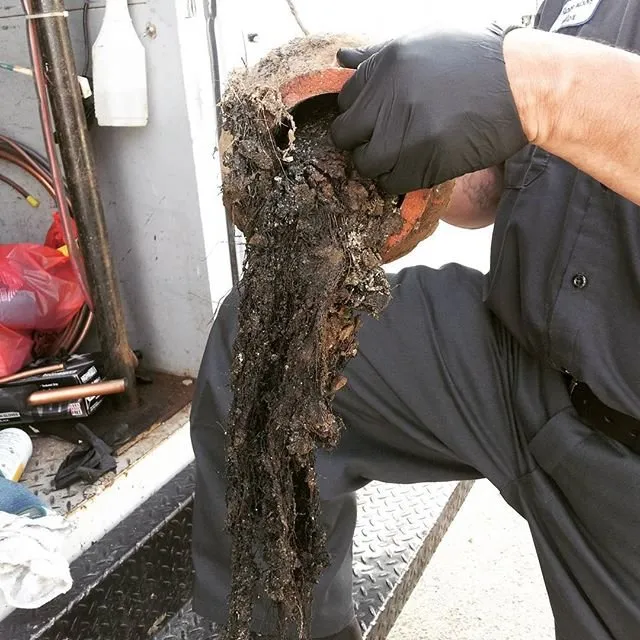 Slide of Payless 4 Plumbing