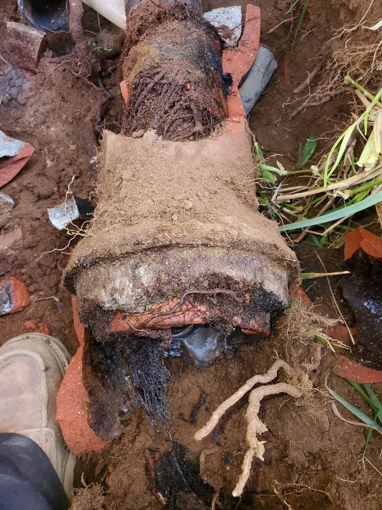 Reliable water heater service in San Bernardino, CA by Payless 4 Plumbing