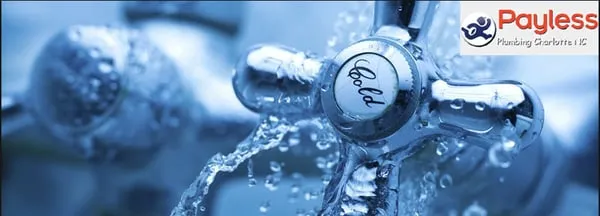 Payless Plumber Charlotte Logo