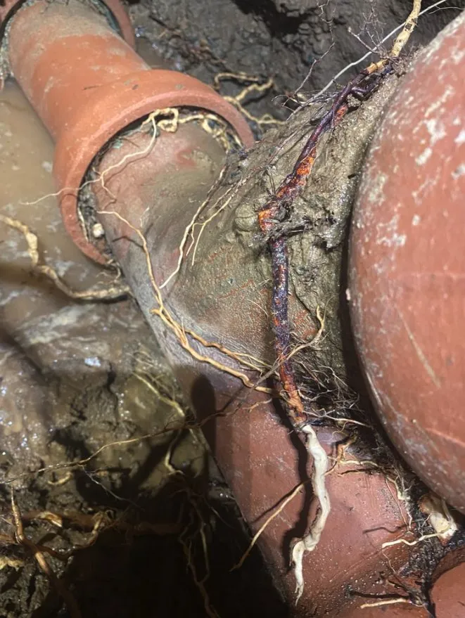 Slide of Payrite Plumbing