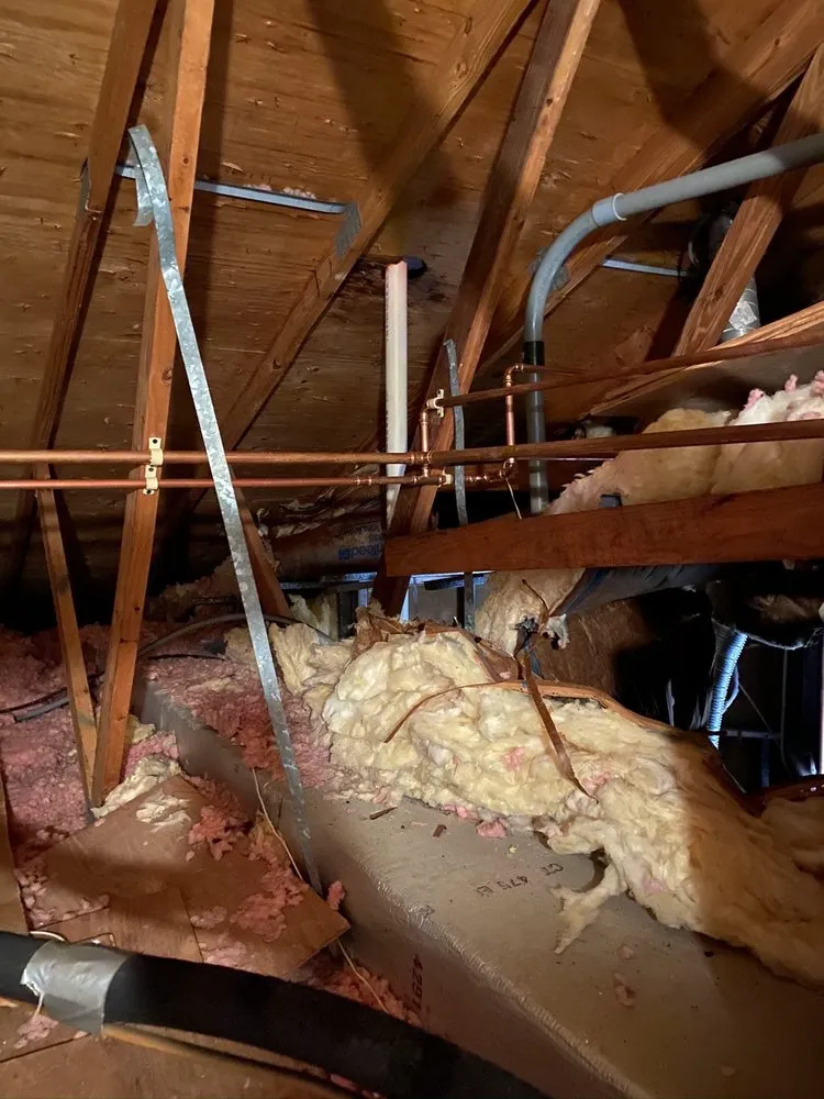 Slide of Paz The Plumber