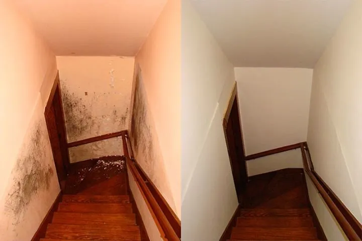 Slide of Pb 1st Choice