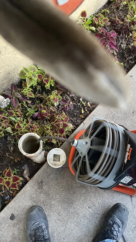 Slide of PBS universal