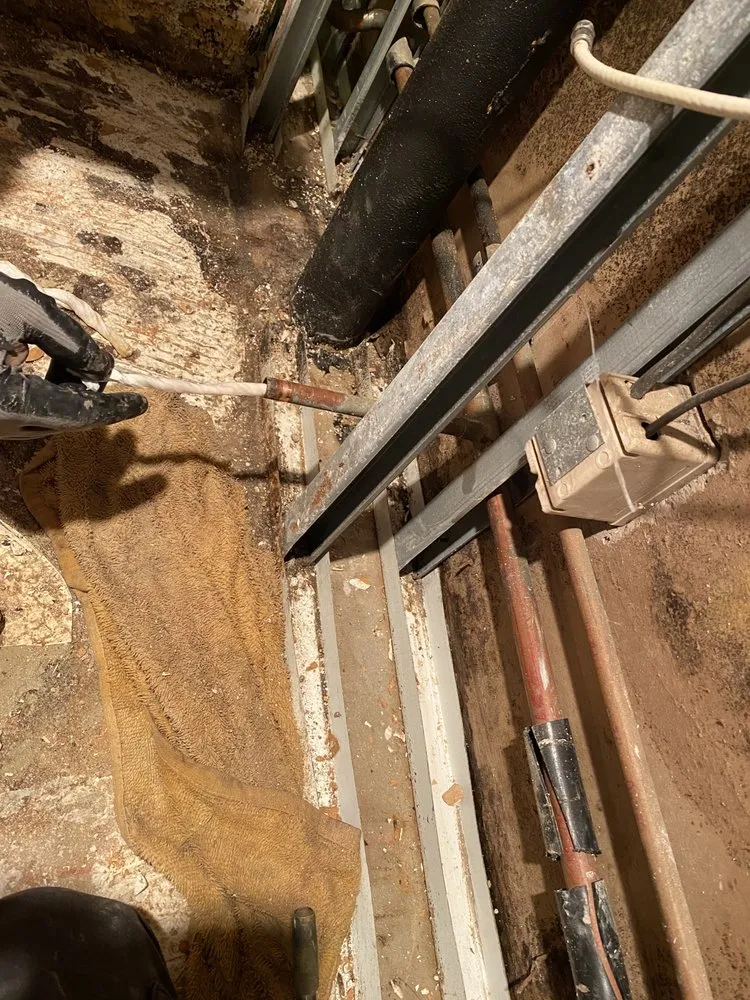 Slide of PBS universal